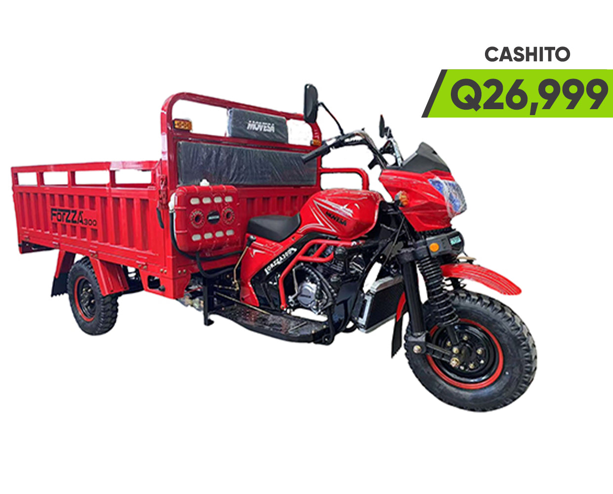 FORZZA 300