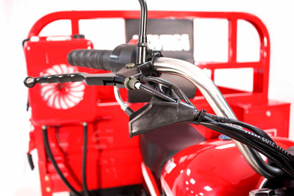 FORZZA 250R