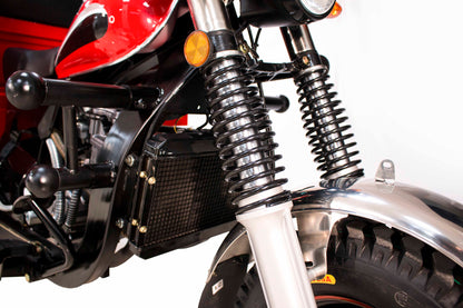 FORZZA 250R