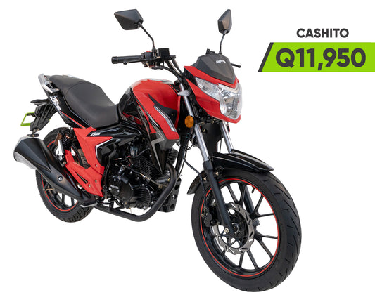 ZR 200